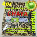 Chaya, Chaya Hierba, Mala Mujer  : Mayan miracle Tea plant, Chaya tree spinach 